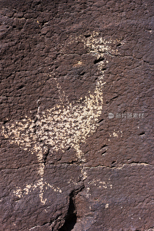 鸟的特写画，La Cieneguilla岩雕遗址，圣达菲